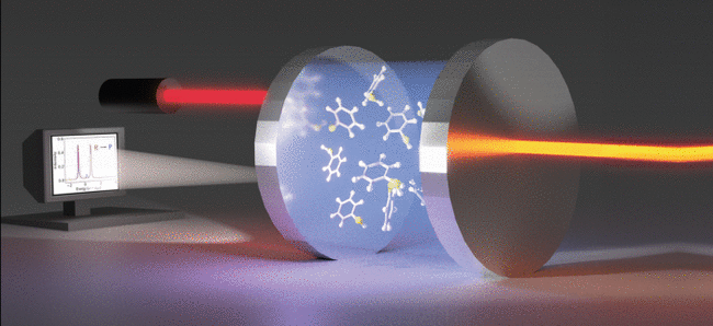 Disorder in Cavity-modified Transport and Chemistry